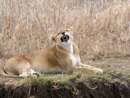 Western_Corridor2009-113